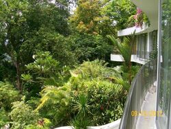 The Peak (D5), Condominium #499586311